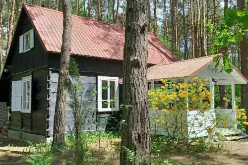 Wilga - urokliwy dom z bala (50 km od Warszawy)