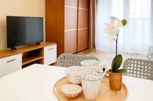 Apartament z Garażem blisko Lotniska