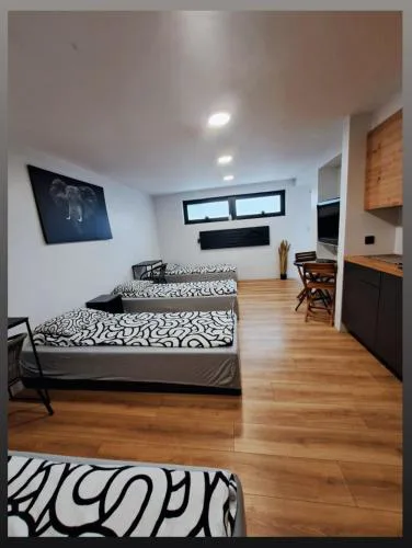 Apartamet typu studio ELEPHANT dla 4 osób
