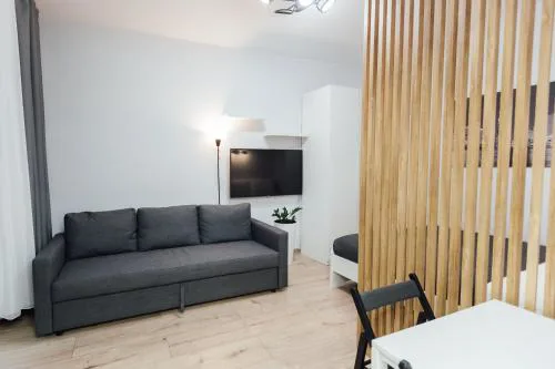 2-237 Bliska Wola Tower, Marcina Kasprzaka 29, Warsaw, city view, Petrovdom Apartment