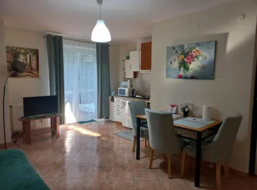 Apartament Sadul