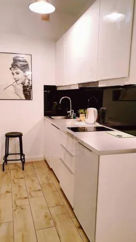 HomeComfort Apartament Merlin