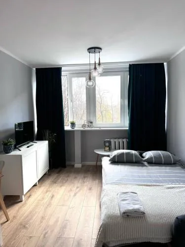 Studio in the Center - Prime Location