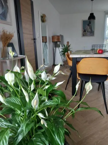 Apartament w centrum z panoramą miasta