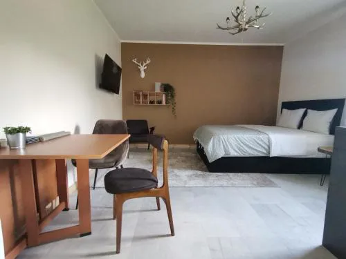 Motyl Apartamenty Studio lub pokój z łazienką - bez aneksu, proszę wybrać właściwy lokal