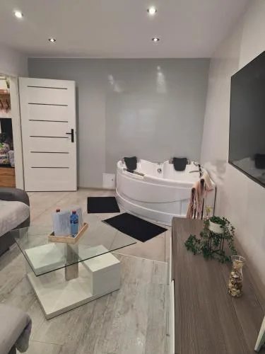 Apartament z jacuzzi w centrum Katowic