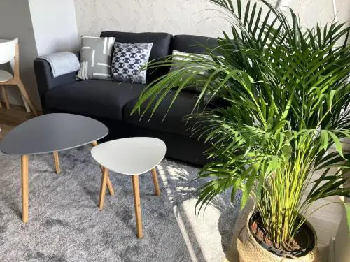Słoneczny apartament z garażem przy Parku Kościuszki