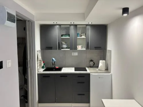 Apartament 1 w Kocierzu