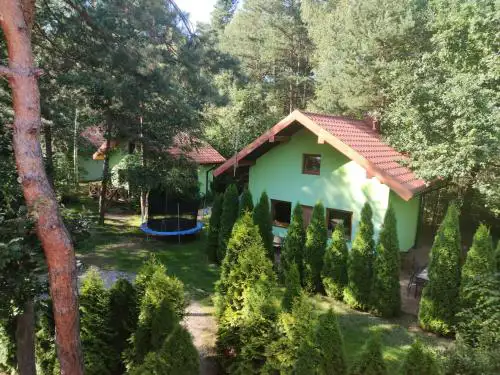 Niezapominajka jura
