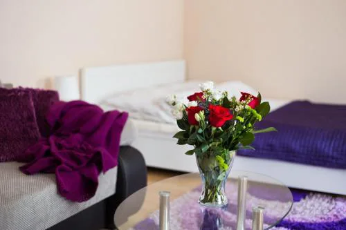 ApartHouse Apartamenty Centrum FREE PARKING
