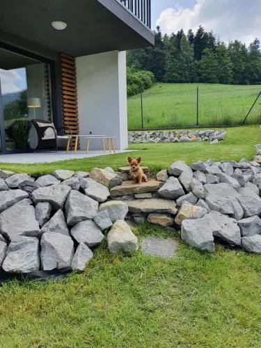 Apartament Otulina
