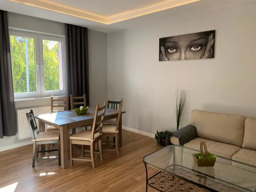 Grey apartment 50 m2