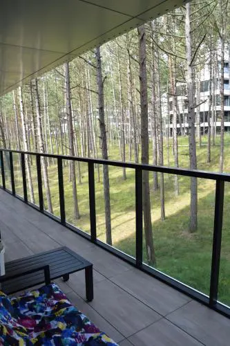Apartament Sosnowy AKTENA Shellter Rogowo