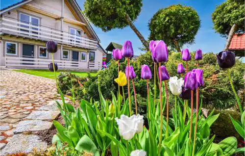 Gorgeous Home In Darlowo With Sauna