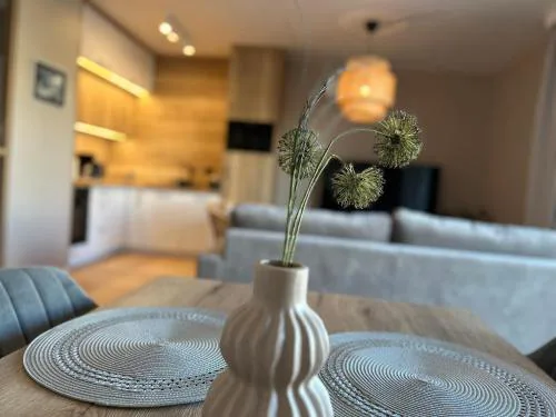 Apartament z widokiem LUX
