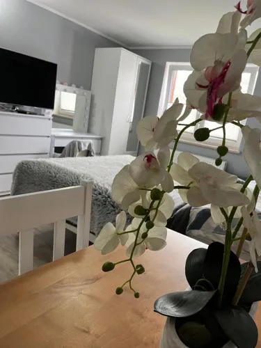 Pokoje gościnne U Sylwii