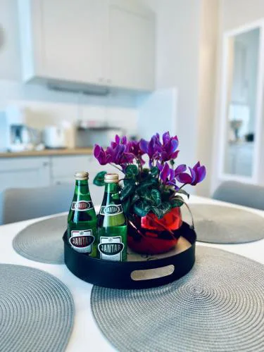 Al-Dom Apartamenty Maczka 5 w spokojnej okolicy