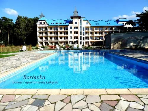 Borówka w Blue Mare