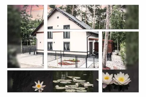 Lily - Sunny Flowers Apartments
