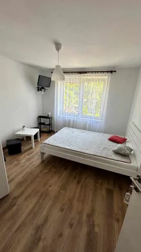 na rogu