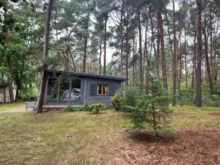 Solaris House - Dom wakacyjny wśród lasu sosnowego