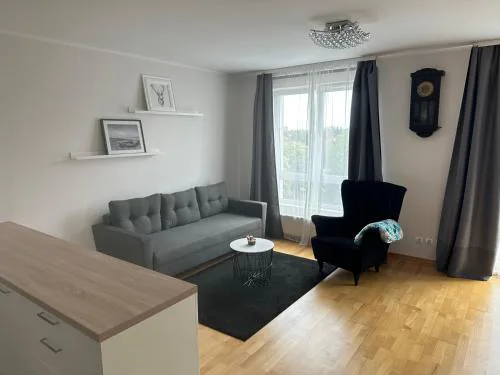White&Sunny Apartment