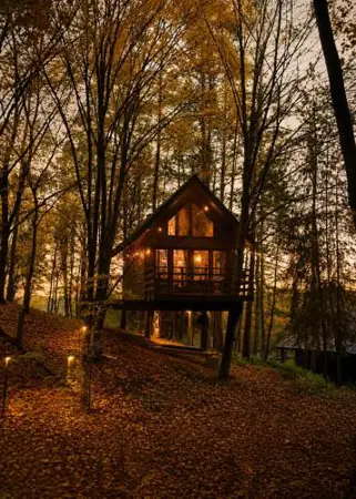 Na Skraju Lasu Domek na Drzewie & Glamping