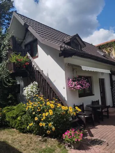 Pokój Sosnowa