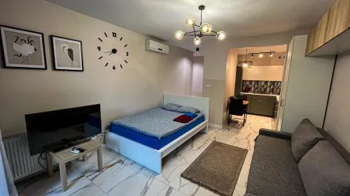 Apartament Lublin Old Town "Korat Cat"