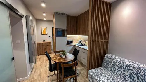Apartament Lublin Old Town "Serval Cat"