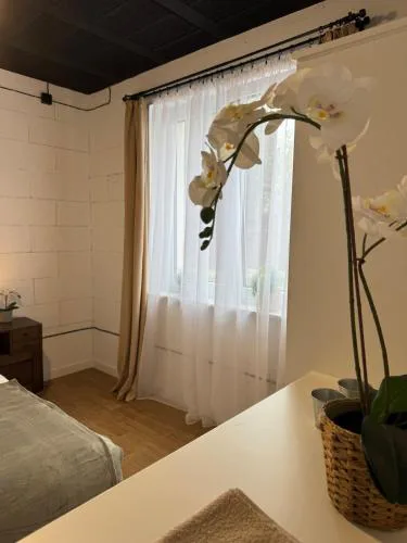 Apartamenty Miernicza