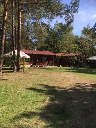 Forest Villa- domki