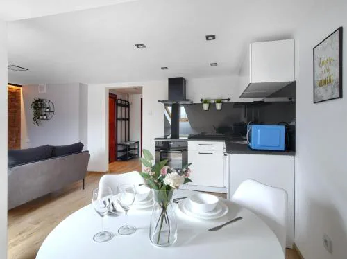 Apartament IX Wieków, Faktura VAT, CENTRUM PARKING VERY GOOD LOCATION TWO BEDROOMS 50 M2