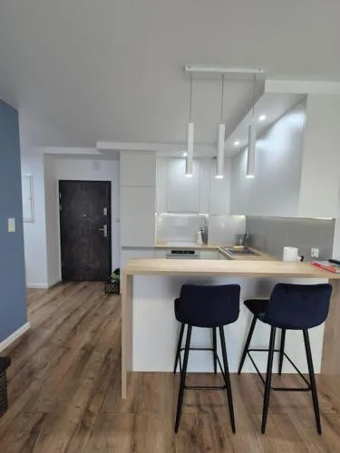 Apartament ścisłe centrum Ventus