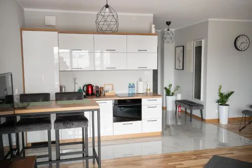 Apartament Ventus Business and Living 44