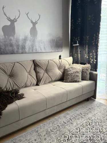 Przytulny Apartament