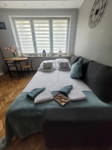Apartament Park Saski