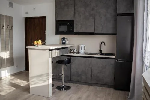 MyPlace Gray Apartment Sandomierz