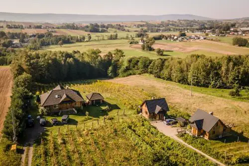 Winnica Nad Źródłem - Domki w winnicy z kominkami i tężniami