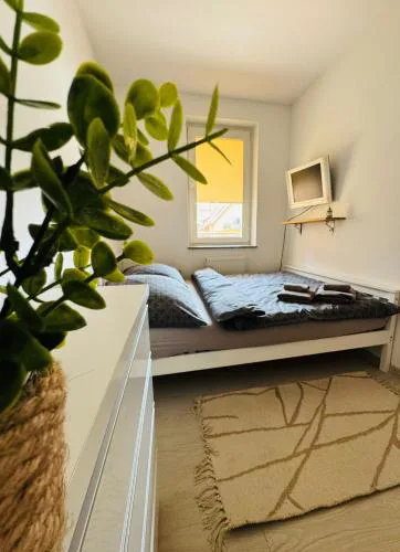 Pulsar Apartments
