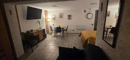 Apartament Nova Kamienica - Studio
