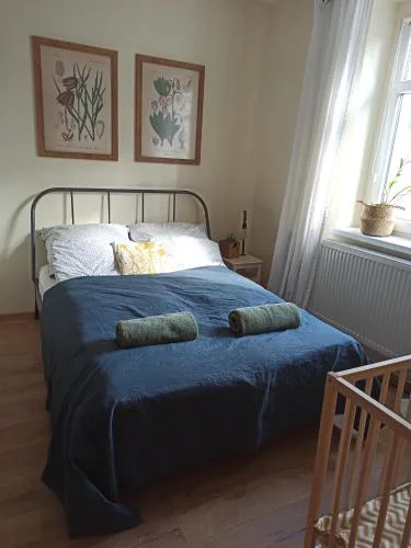 Apartament przy Wandy