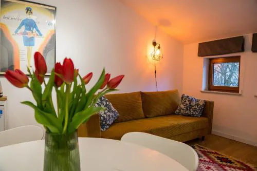 Apartamenty Centrum Biskupiec