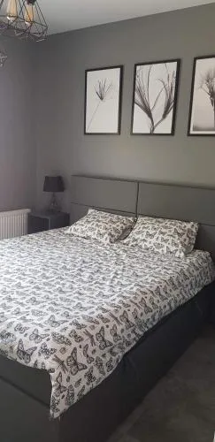 Nowoczesny apartament z dużym tarasem i widokiem na jezioro