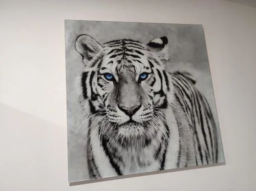 Eye of the Tiger. Apartament w centrum Mrągowa.