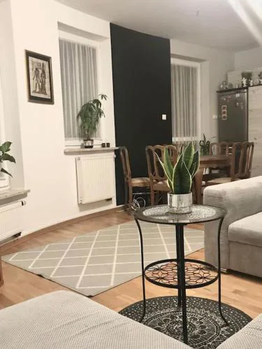 Apartament nad rzeką przy parku zamkowym