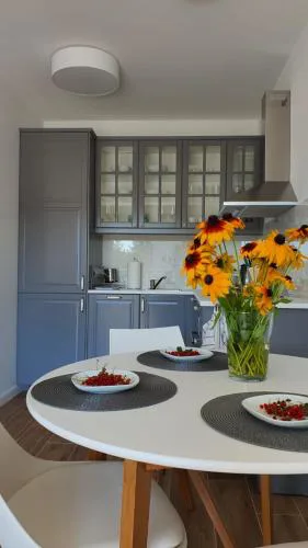 APARTAMENT WILKASY II (k. Giżycka )