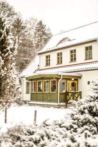 ZielonoMi