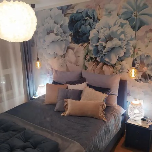 Apartamenty Centrum Warszawska 66 niebieski i różowy