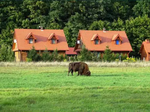 Leśny Gród